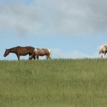 Lakota Nation – Wounded Knee, SD: Photo Gallery